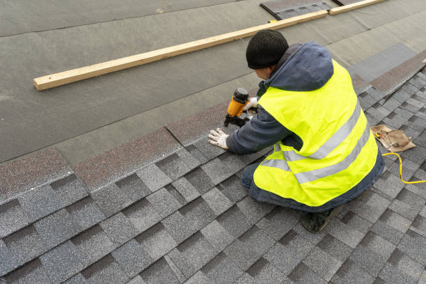 Best Best Roofing Contractors  in Pineland, TX