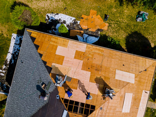 Best Gutter Installation and Roofing  in Pineland, TX