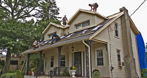 Best Best Roofing Contractors  in Pineland, TX